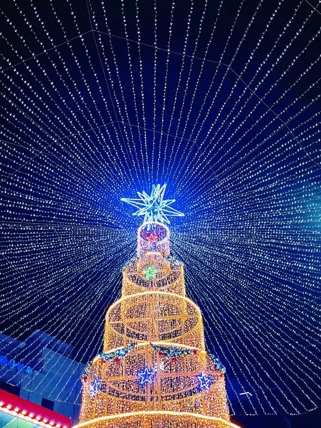 지금은 부산 빛축제중 ✨1월까지 하는 예쁜 부산 남포동 겨울빛축제🎄