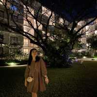 Christmas Dinner @ Standard Hotel Huahin