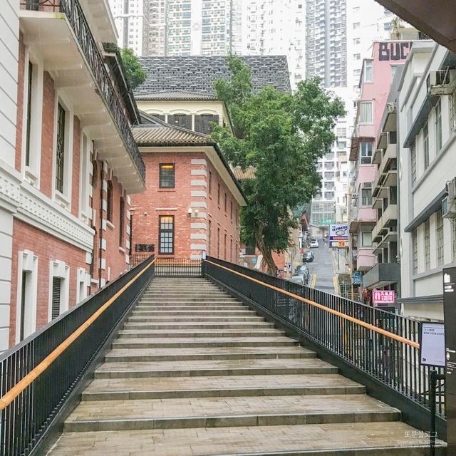 비가와도 멋있는 홍콩 미드레벨 에스컬레이터⭐️