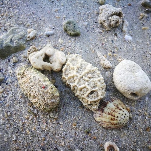 🌤陽光與海灘🌊的馬努干島🛖