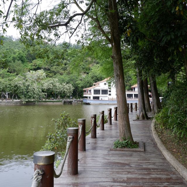 深圳至抵玩植物園