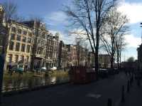 Walking during fall in Amsterdam 