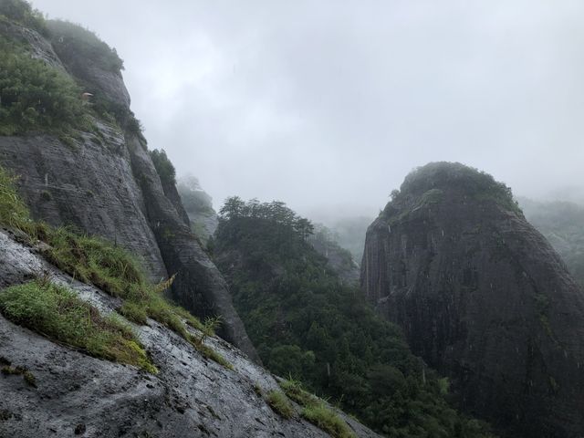 Wuyishan Scenic Area