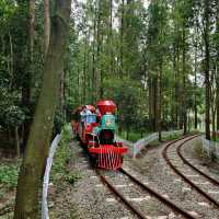 On the track !