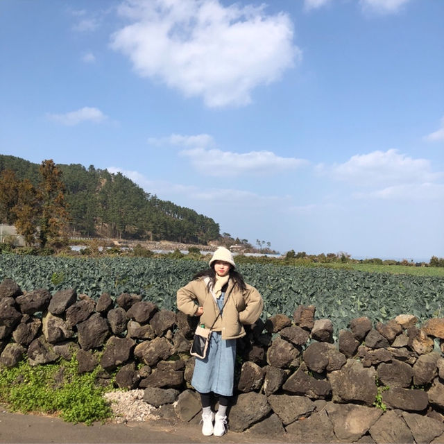 🍊제주가좋은이유🍊