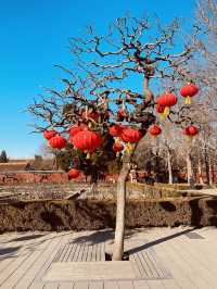 Beijing from above (Jingshan Park)