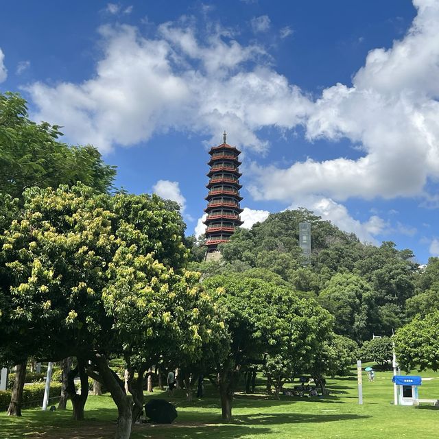 打卡深圳紅花山公園