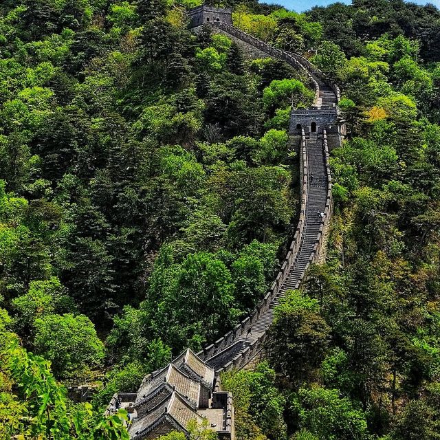 The Great Wall of China 🏯🇨🇳  The Great Wall of China 🏯🇨🇳