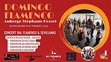 Un Domingo Flamenco - Lille Flamenca Festival - Peña Estrella | Auberge de jeunesse HI Lille "Stéphane Hessel"