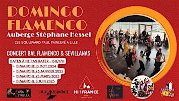 Un Domingo Flamenco - Lille Flamenca Festival - Peña Estrella | Auberge de jeunesse HI Lille "Stéphane Hessel"