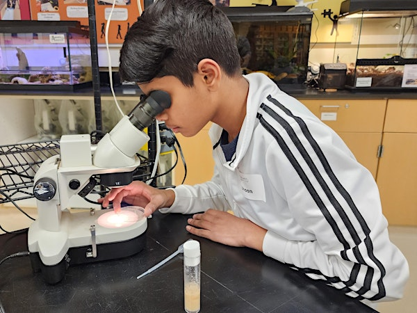 Model Organism Masters: Exploring Life in the Lab  | Grades 9-12 | Van Andel Institute for Education