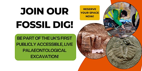 STUDENT Fossil Forest Excavation Experience 2025 (Block four: 18-21st July) | Brymbo Heritage Project