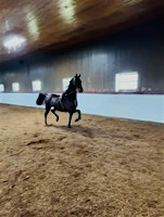 Monthly Membership 2.0 | La Fleur Stables, L.L.C.