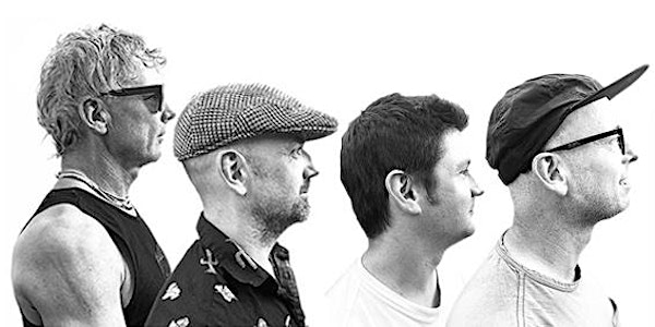 Honeybear | Blind Tiger Vineyards