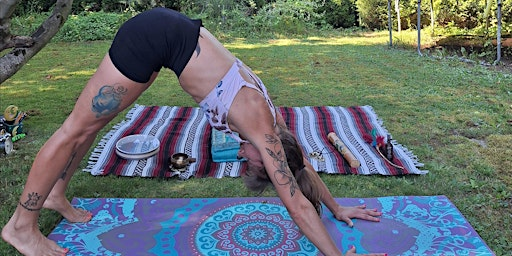 Outdoor New Moon Yoga & Guided Meditation | 33471 George Ferguson Way, Abbotsford, BC, Canada