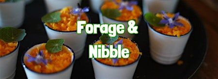 FORAGE & NIBBLE near Wembley (London) | Castlemorton Common
