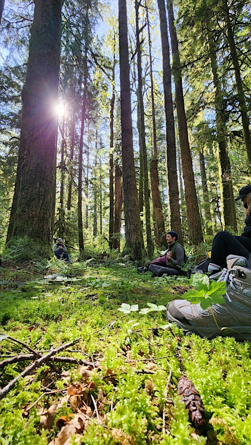 Forest and movement therapy with Nature-inspired journalling | Central Park