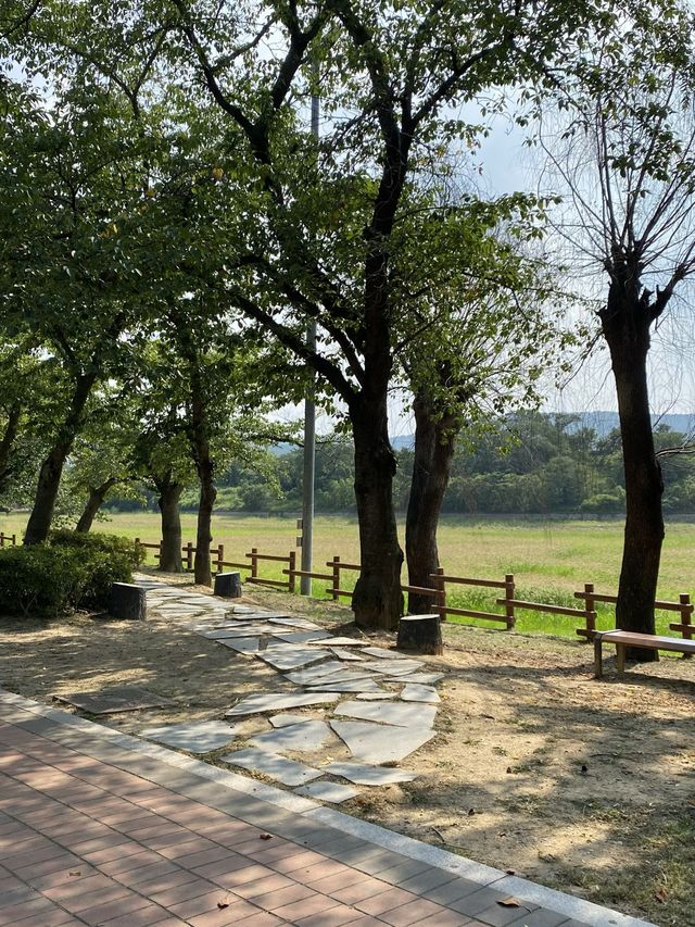 갑자기 떠나고 싶을 땐, 경주로!