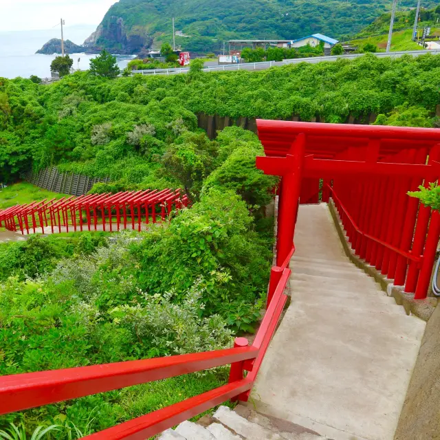 山口県の伏見稲荷？？鳥居が並んでます！