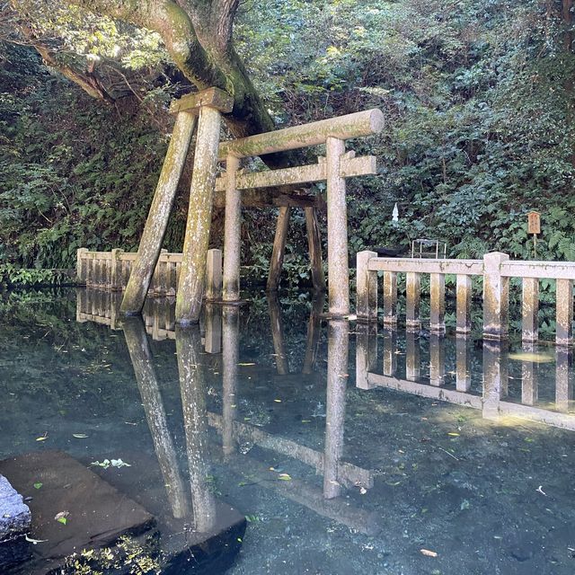 茨城県『鹿島神宮』