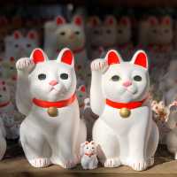 滿滿招財貓🐱日本必去豪徳寺