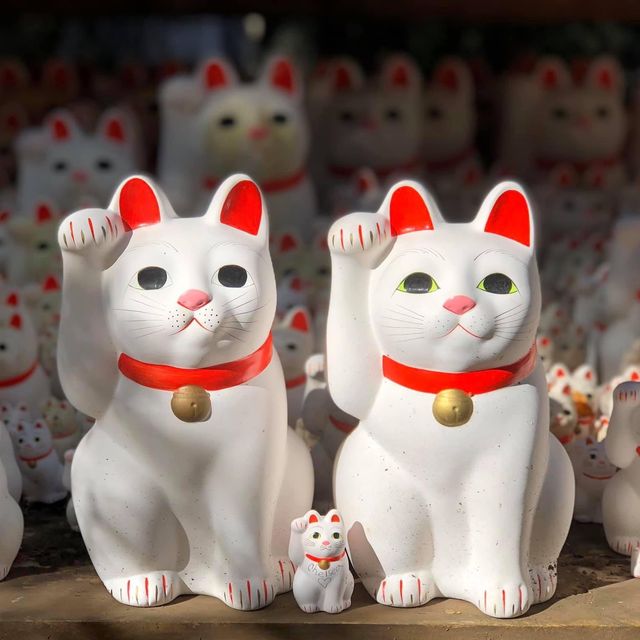 滿滿招財貓🐱日本必去豪徳寺