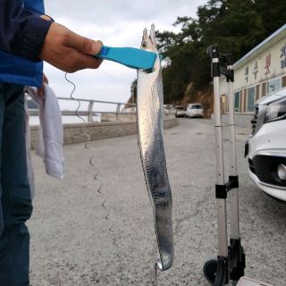 全北群山市世滿金的第一個早晨 海濱港口城市 而且這座城市還有很多值得遊覽的地方。空氣很清新。不斷有漁船進港。有很多魚販來這裡買魚。此時這裡是一座銀劍魚較多的城市。您不必出海，只需坐在岸邊釣魚即可。讓我們看看你今天能得到多少😁😁😁😁😁
#身體需要大海