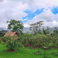 Suan Kulap Klang Phana เขาใหญ่ 