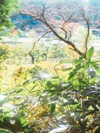 茨城県立歴史館