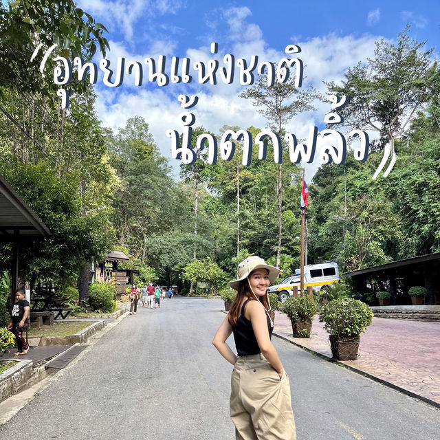 เดินป่า ศึกษาธรรมชาติ ที่น้ำตกพลิ้ว