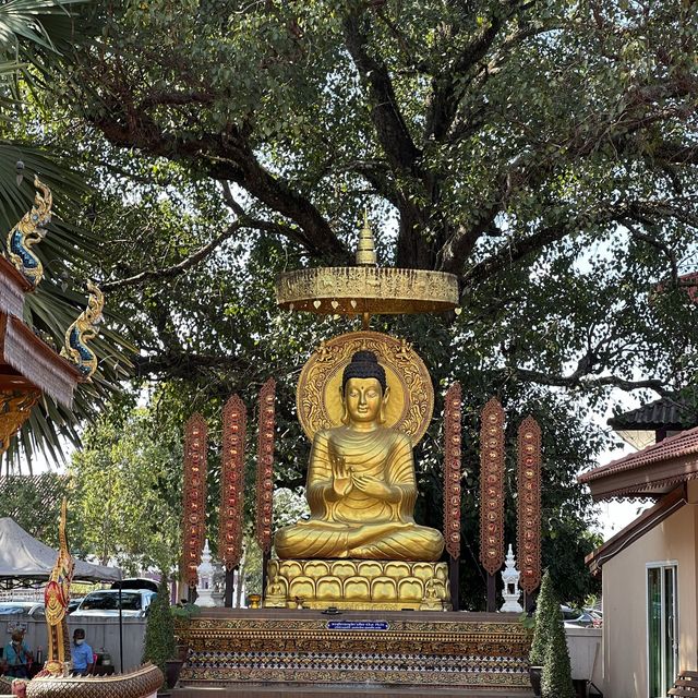 วัดงามเห็นวิวเขา