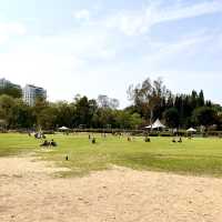 ［維多利亞公園］- 賞花好時機🌸🌺💐
