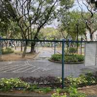 屯門湖山公園 打卡親子散步都可以