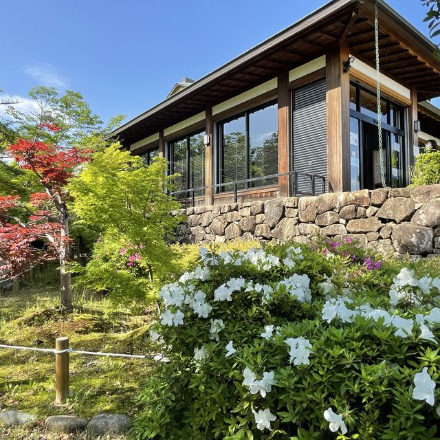 愛知県　清洲公園のつつじ