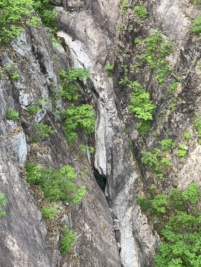 거창 우두산 Y자 출렁다리