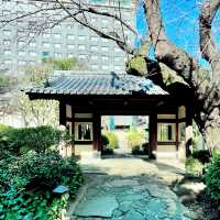 港区指定有形文化財に登録された建物たち