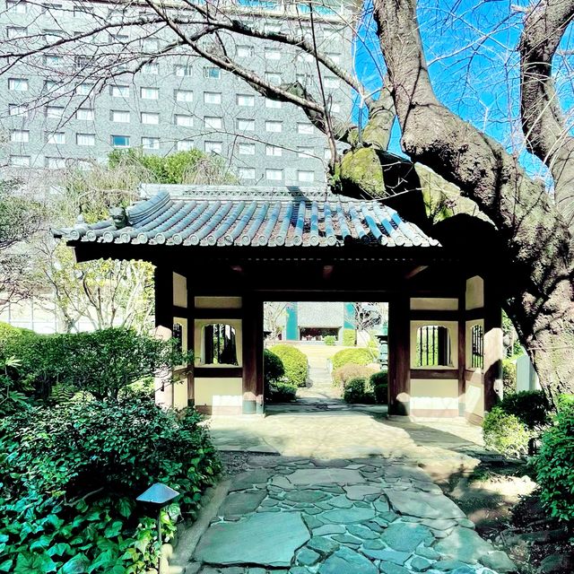 港区指定有形文化財に登録された建物たち