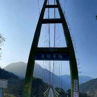 Dongpu and the many iconic bridges 