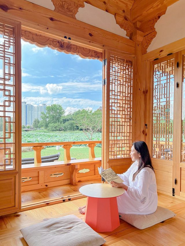 연꽃보면서 책 읽을 수 있는 연화정도서관 🪷✨