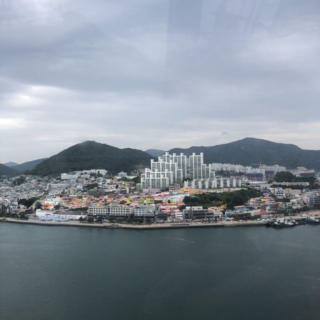 여수에서 해상케이블카 타고 오동도 둘러보기! 