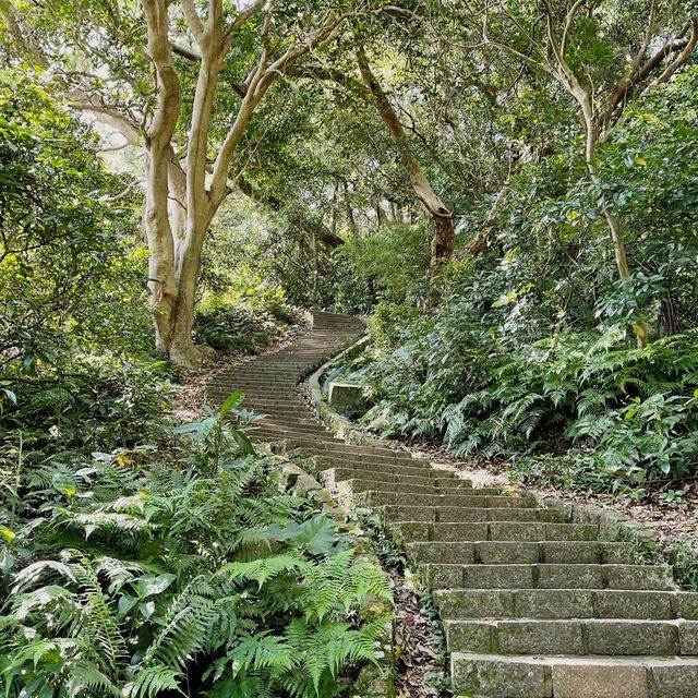 Bet you didn’t know: Hidden trail in Taipei. 