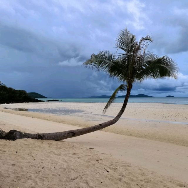 A Beach Within The Forest