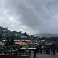 Gorgeous Pine Resort at Kundasang
