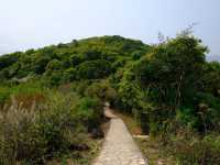 馬屎洲行山
