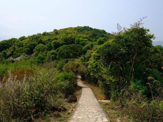 馬屎洲行山
