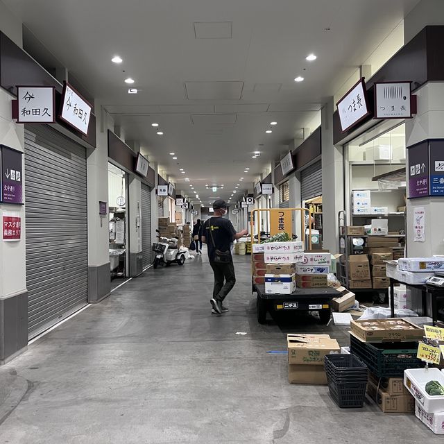 【東京】豊洲市場を見学しに行ってきた！