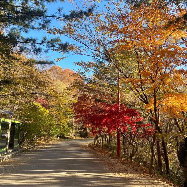 지리산 단풍 중산리 - 천왕봉 단풍 진짜 이뻐요 ♥ 