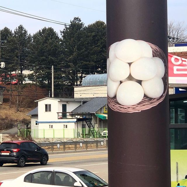 찐빵과 사진도 찍고 먹고 