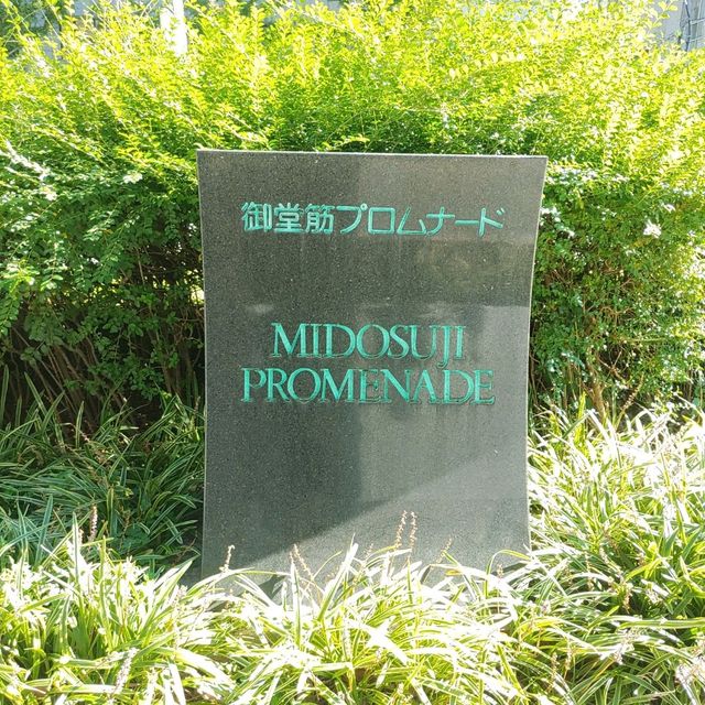 大阪！さすが御堂筋の銀杏並木