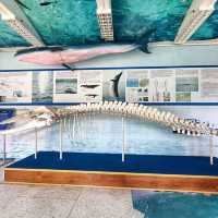 Aquarium Phuket
